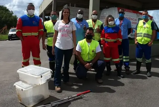 Profissionais da Bahia Norte recebem treinamento para resgate e manejo de animais silvestres